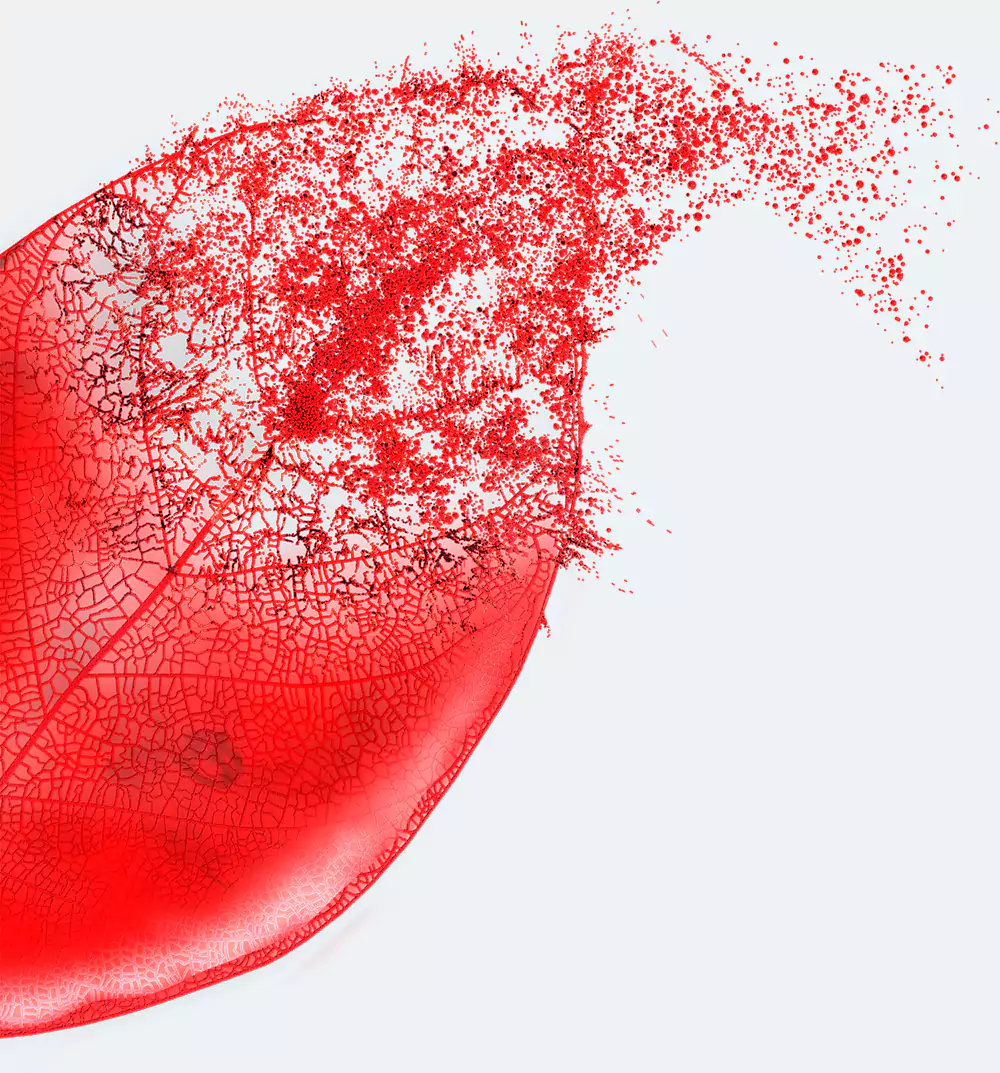 Decorative leaf background